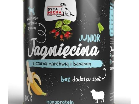 Wet food SYTA MICHA Junior Lamb with black carrot and banana 800 g For Discount