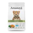 Amanova Cats Dry Food (1.5 Kg) Sale