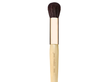 Jane Iredale Dome Brush Skaistalų šepetėlis Online now